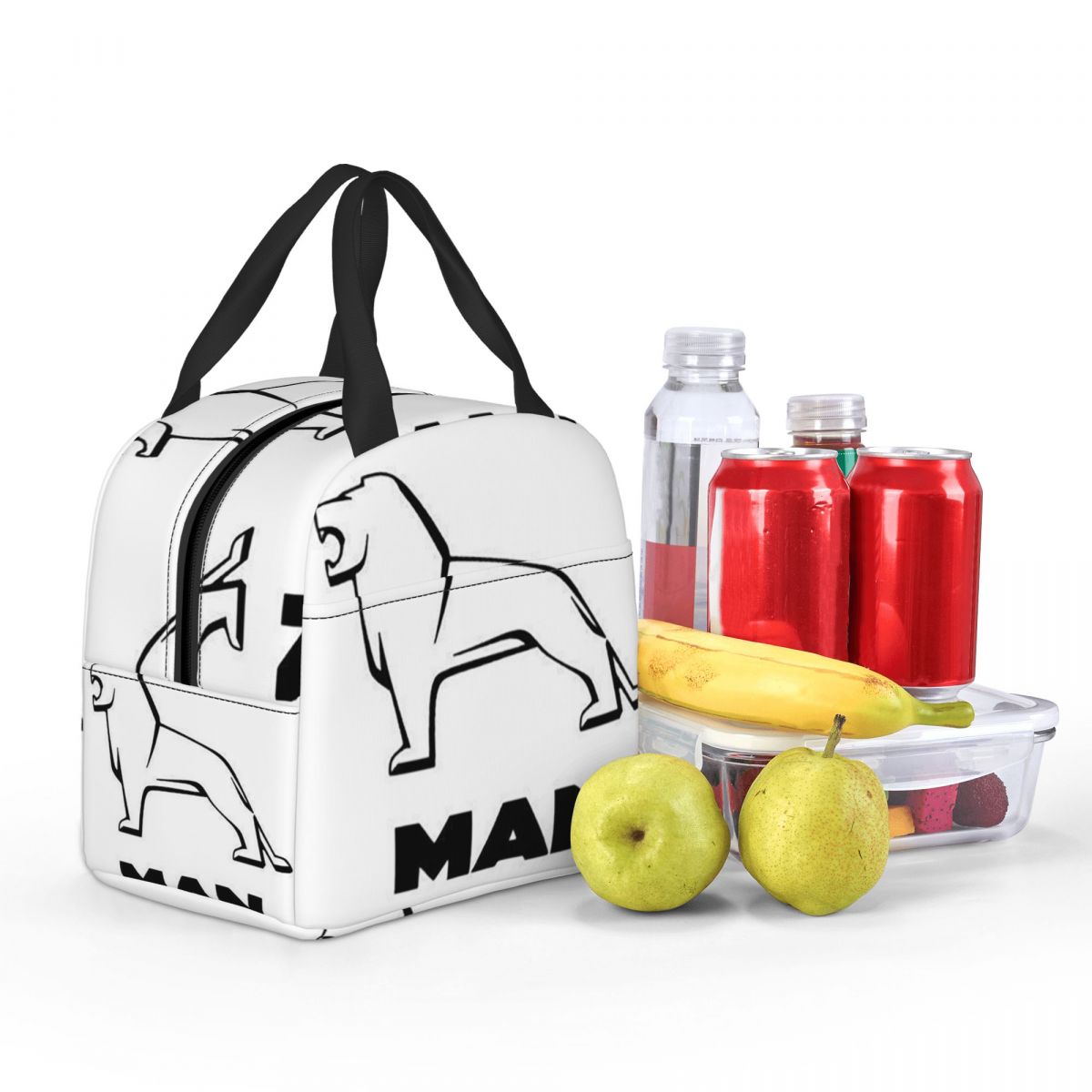 Термосумка для обедов Man Truc – обзор и цена Women Bags For Office Use